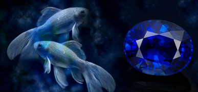 Камені для Риб