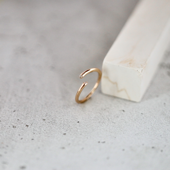 Золотое кольцо - 5