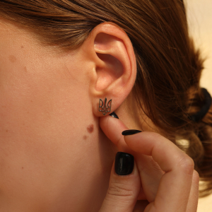 Серебряные пусеты