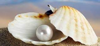 Перли. Вічна класика у світі ювелірних виробів