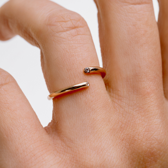 Золотое кольцо - 1