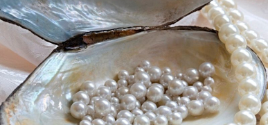 Таємниці підводного саду: Як вирощують перли та створюють диво під водою