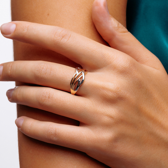 Золотое кольцо - 1